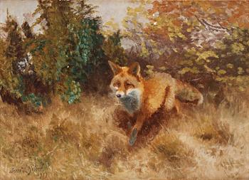 347. Bruno Liljefors, Landscape with fox.