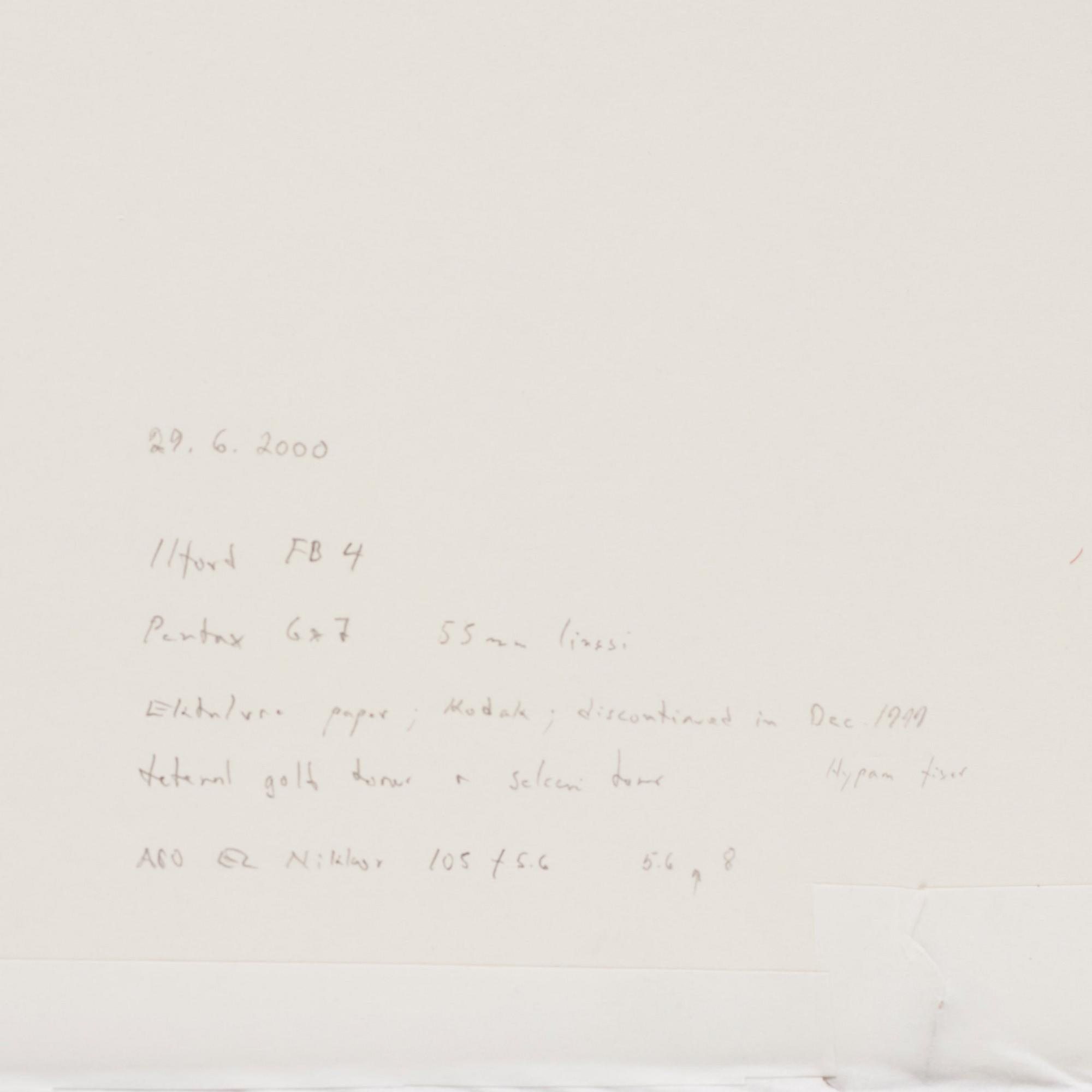 Pentti Sammallahti, "Sandö, Dragsfjärd, 1975".