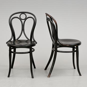 STOLAR 6 st. Thonet, omkring 1900.