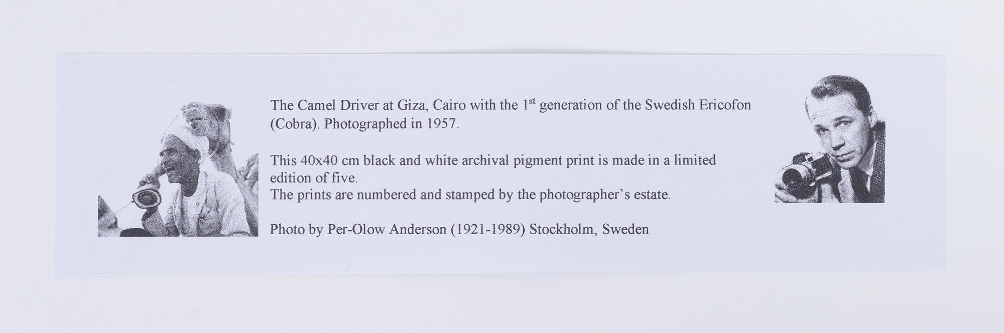 Per-Olow Anderson, "The Camel Driver at Giza".
