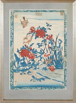 TRÄSNITT, 4 st, Japan, 1900-tal.