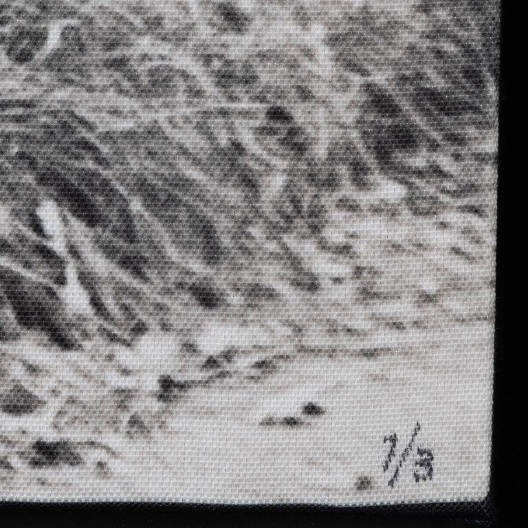 Carl Johan De Geer, photo sublimation signed and dated 1958-2007. Numbered 1/3.