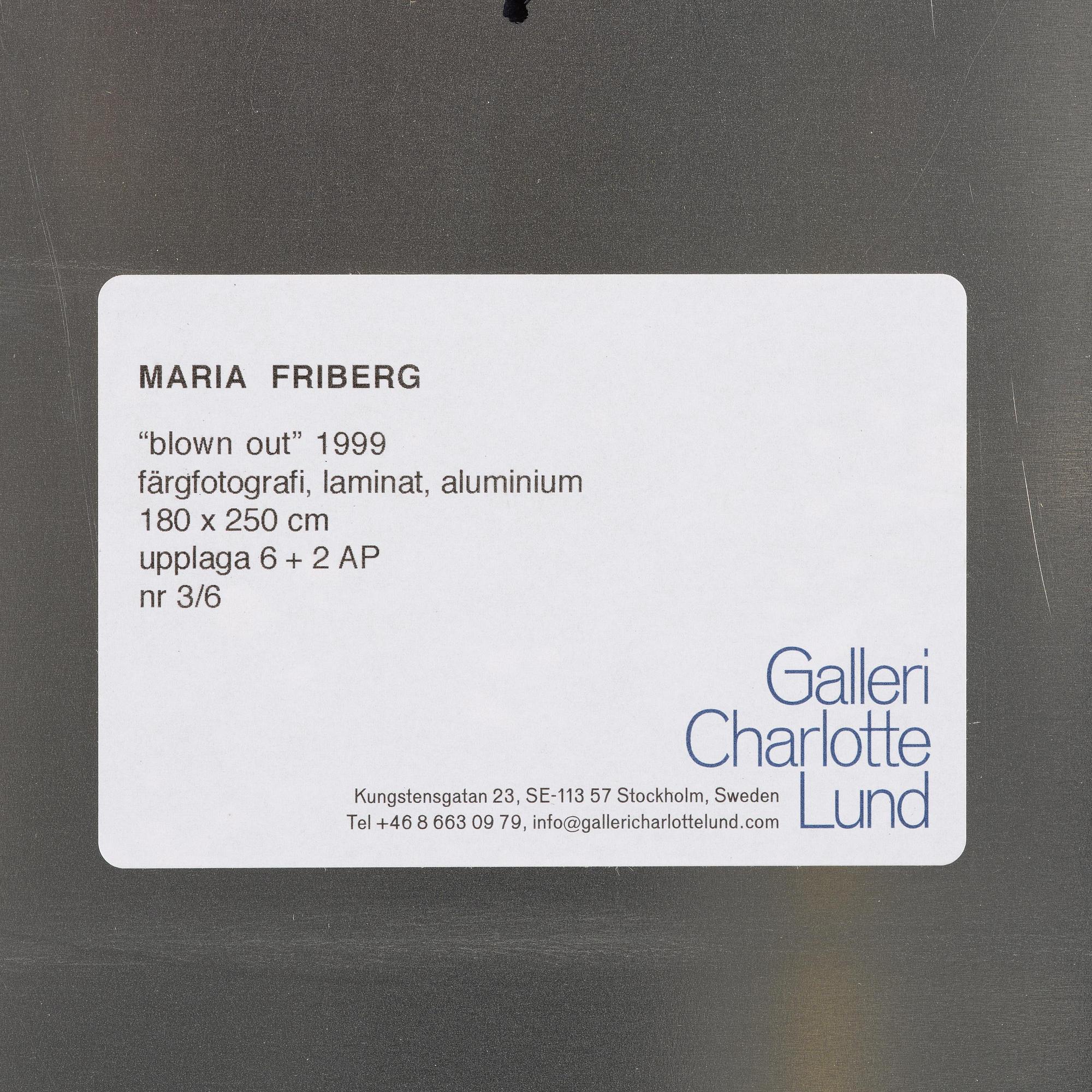 Maria Friberg, "Blown Out",1999.