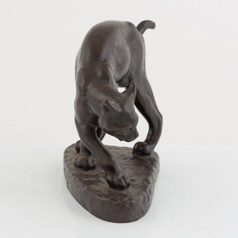 Arvid Knöppel, Smygande lodjur.