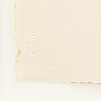 Louis Cane, "Louis Cane Art.Iste Peintre".