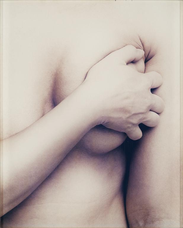 Monika Larsen Dennis, " From the painting series, Outing", 2000.