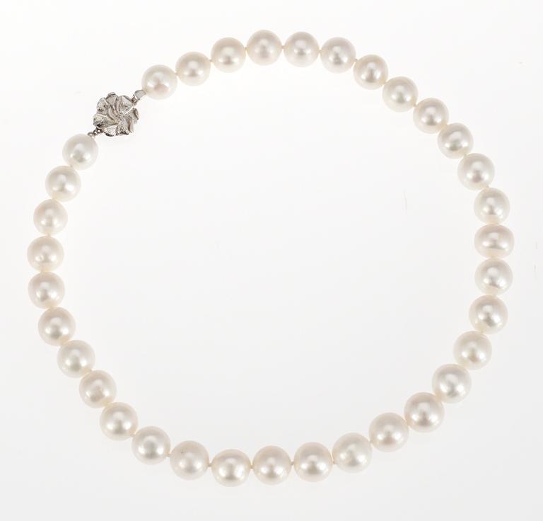 COLLIER, odlade sötvattenspärlor, ca 11,4 mm.