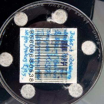 Klas-Göran Tinbäck,.