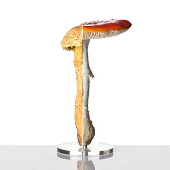 Carsten Höller, "Double Mushroom Vitrine (Once)".