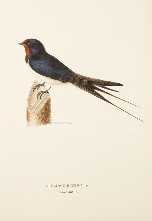 BÖCKER, 2 vol, "Svenska Fåglar", M W & F von Wright, Stockholm.