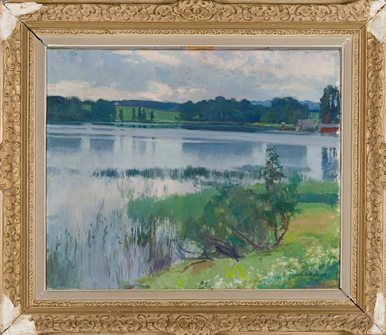 Wilho Sjöström, Lake view.