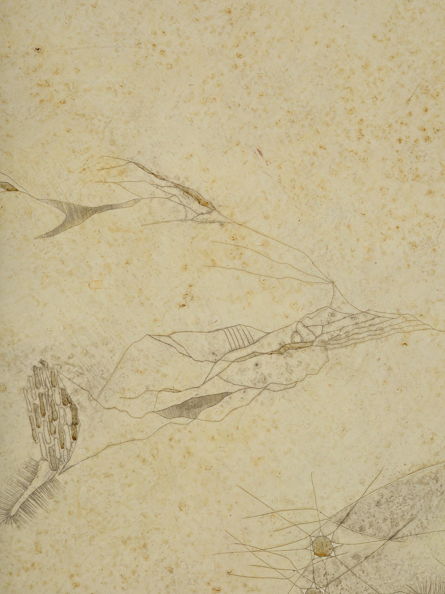 Thea Ekström, Untitled.