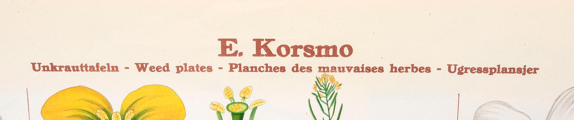 Emil Korsmo, 31 lithographic weed plates.