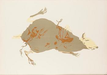 Marjatta Tapiola, Rodent.