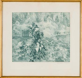 Akseli Gallen-Kallela, Motif from Imatra.