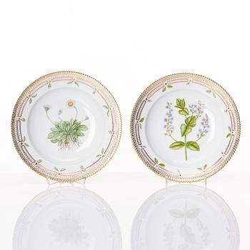 Sopptallrikar, 12 stycken, porslin. Royal Copenhagen, "Flora Danica", Danmark, 1900-tal.