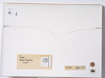 Jan Håfström, "Indianer".