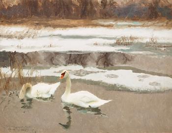 8. Bruno Liljefors, Swans.