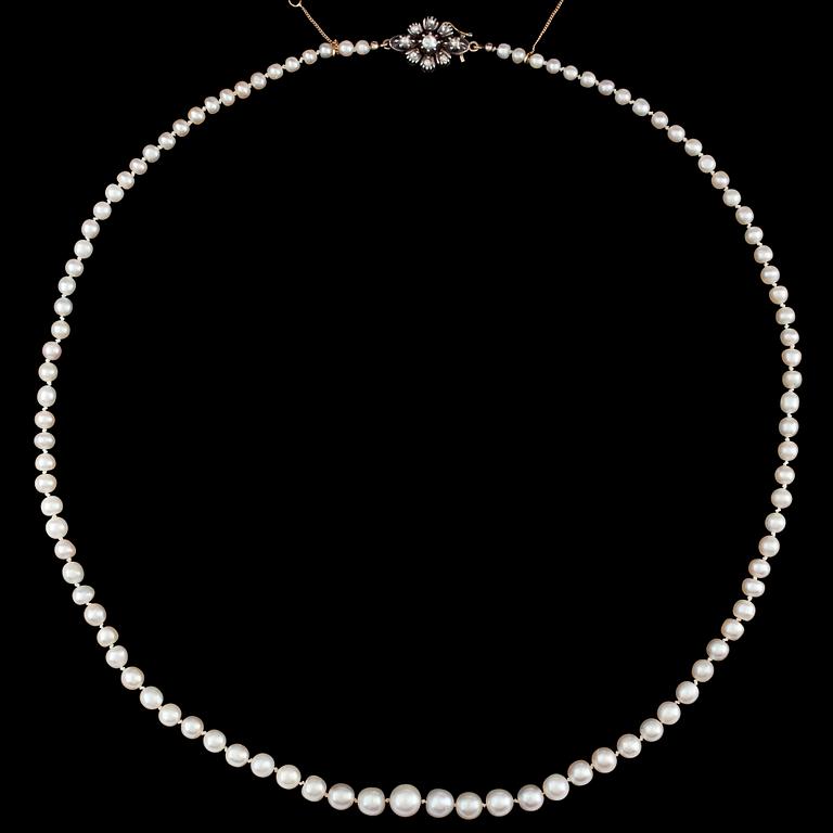 A natural pearl necklace, 7,5-3,5 mm.