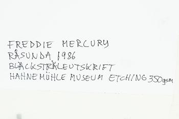 Peter Kjellerås, "Freddie Mercury, Råsunda", 1986.