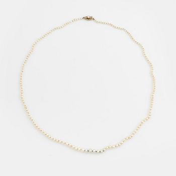 Calibrated pearl necklace, clasp 18K gold with pearl and rose cut diamonds.