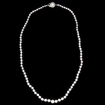 PÄRLCOLLIER, odlade sötvattenspärlor, lås i silver.