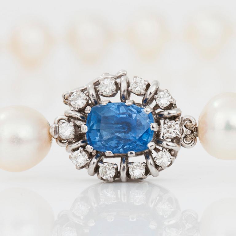 A cultured pearl necklace. Clasp with sapphire and diamonds.