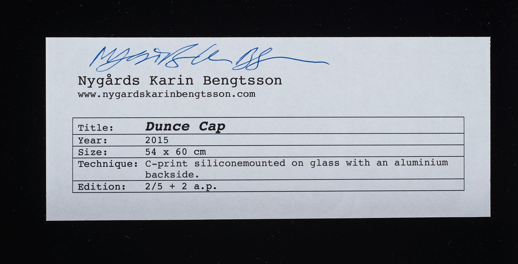 Nygårds Karin Bengtsson, "Dunce Cap", 2015.
