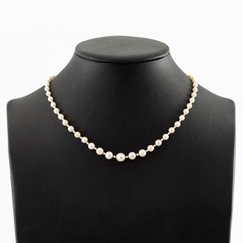 Necklace of pearls with a gold and silver clasp set with rose-cut diamonds.