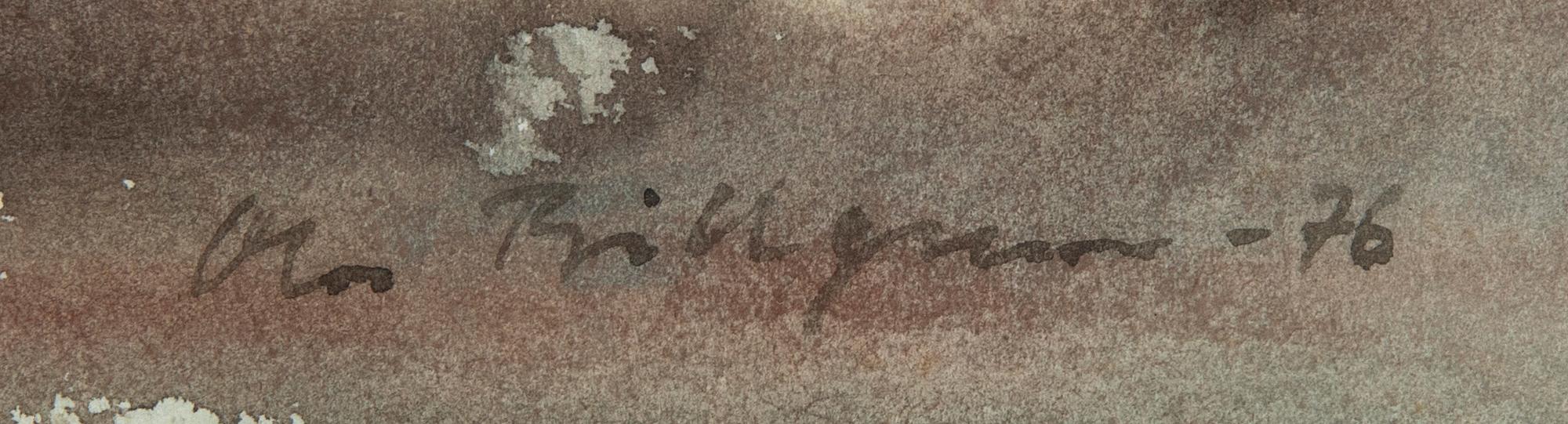 Ola Billgren, solnedgång.