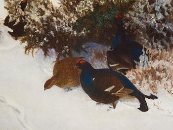 Bruno Liljefors, Winter landscape with black grouse.