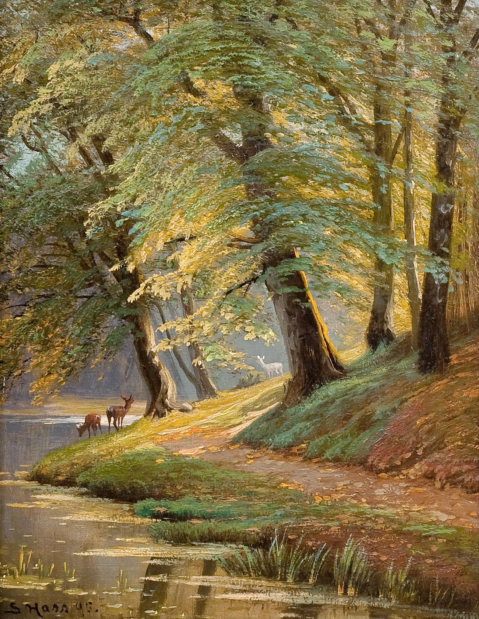 Siegfried Hass, RÅDJUR.