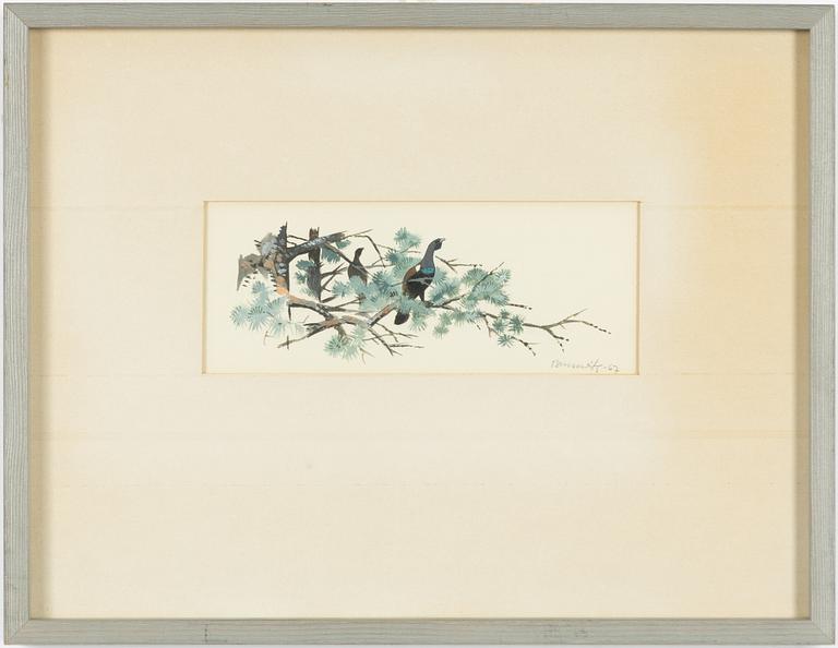 Gunnar Brusewitz, Tjäderhona.