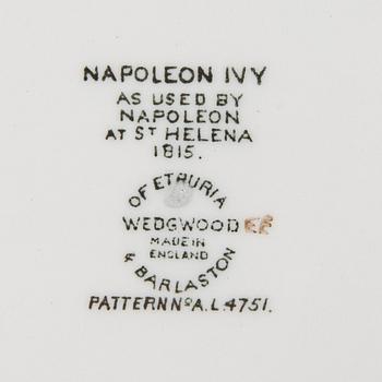 Plates 8 pcs "Napoleon Ivy" Wedgwood second half of the 1900s porcelain.