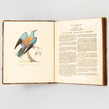 BOOK, with hand coloured dry needle engravings.