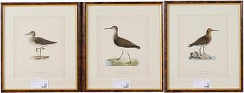 Von Wright, M, 3 st, grafiska blad.