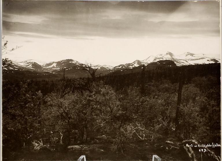 LUDVIG WÄSTFELT, fotografier, 5 st. Några bär djuptryckstämpel från hans ateljé och ett par dat år 1921 o 1922.