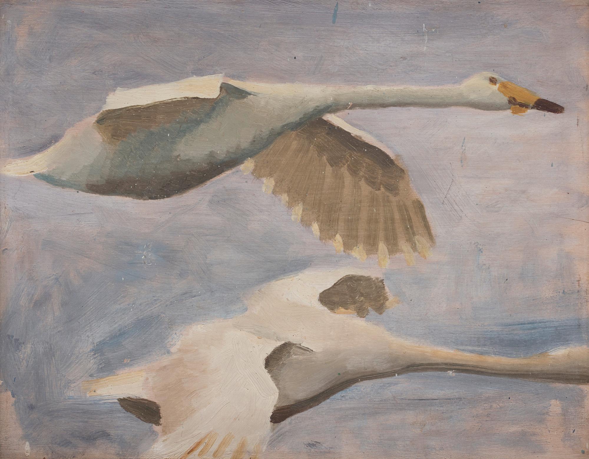 Bruno Liljefors, Flying Swan.