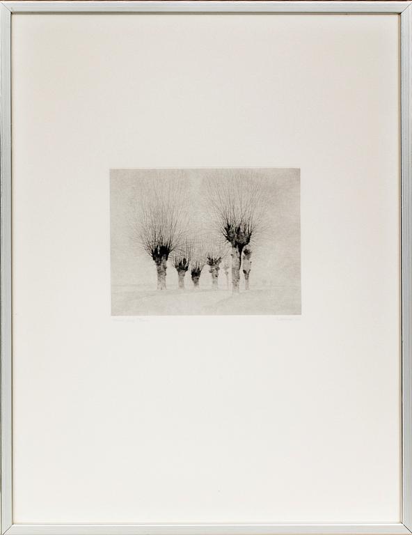 GUNNAR NORRMAN, signed.
