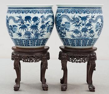 A pair of large blue and white fish basins/flower pots, late Qing dynasty, circa 1900.