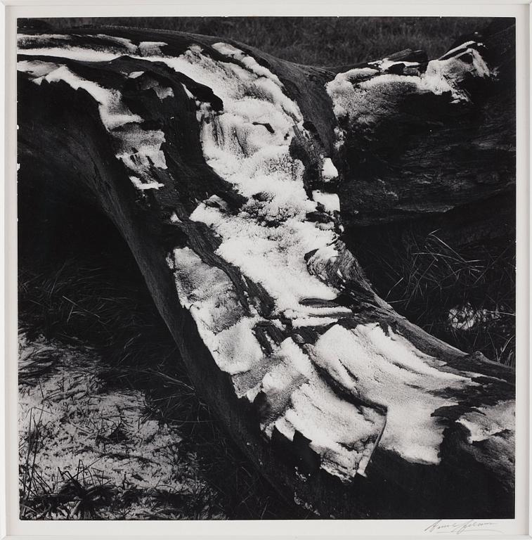 Ansel Adams, Utan titel, troligen 1950-tal.