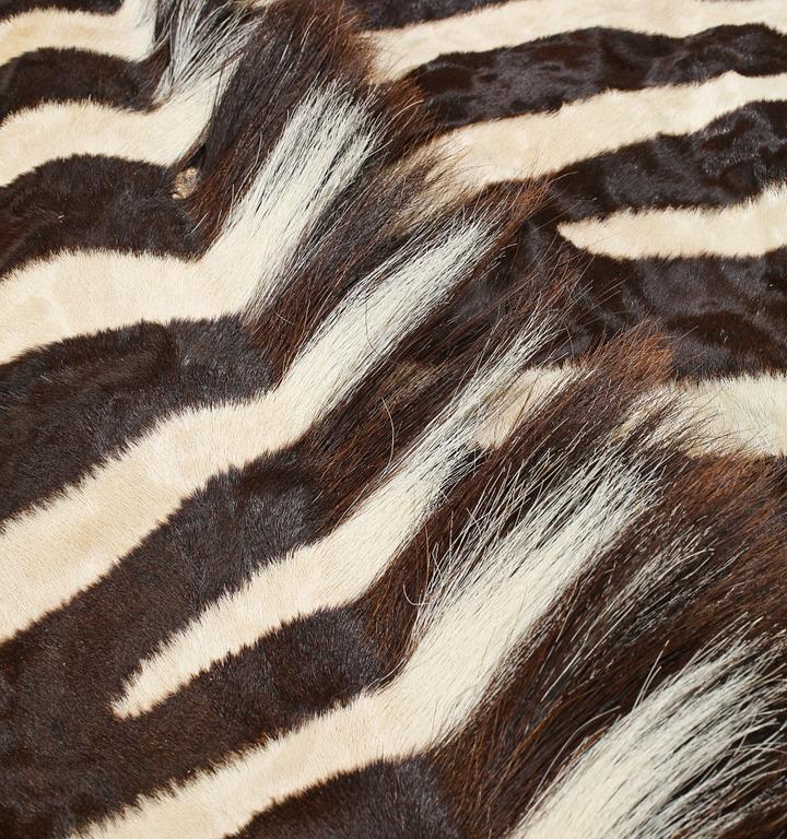 ZEBRASKINN, Namibia, 1988.