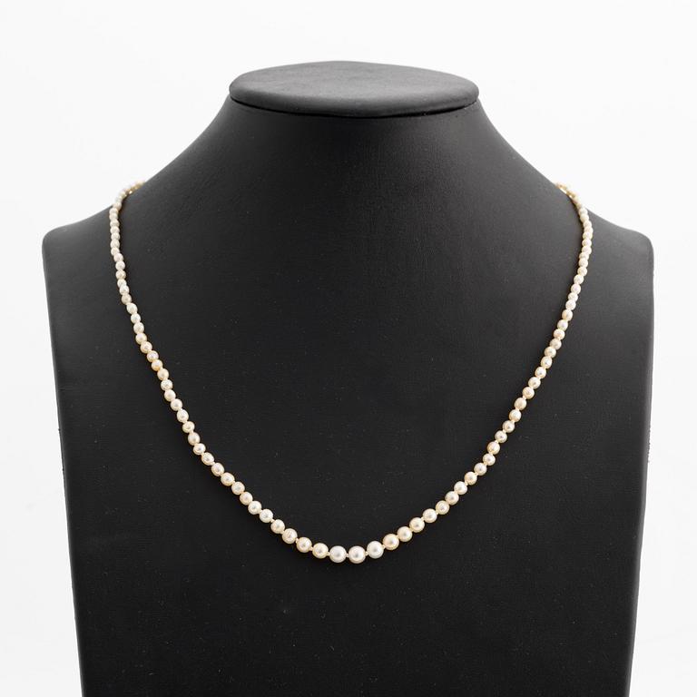 Pärlcollier, med doserade pärlor, lås guld med två gammalslipade diamanter och rubin.