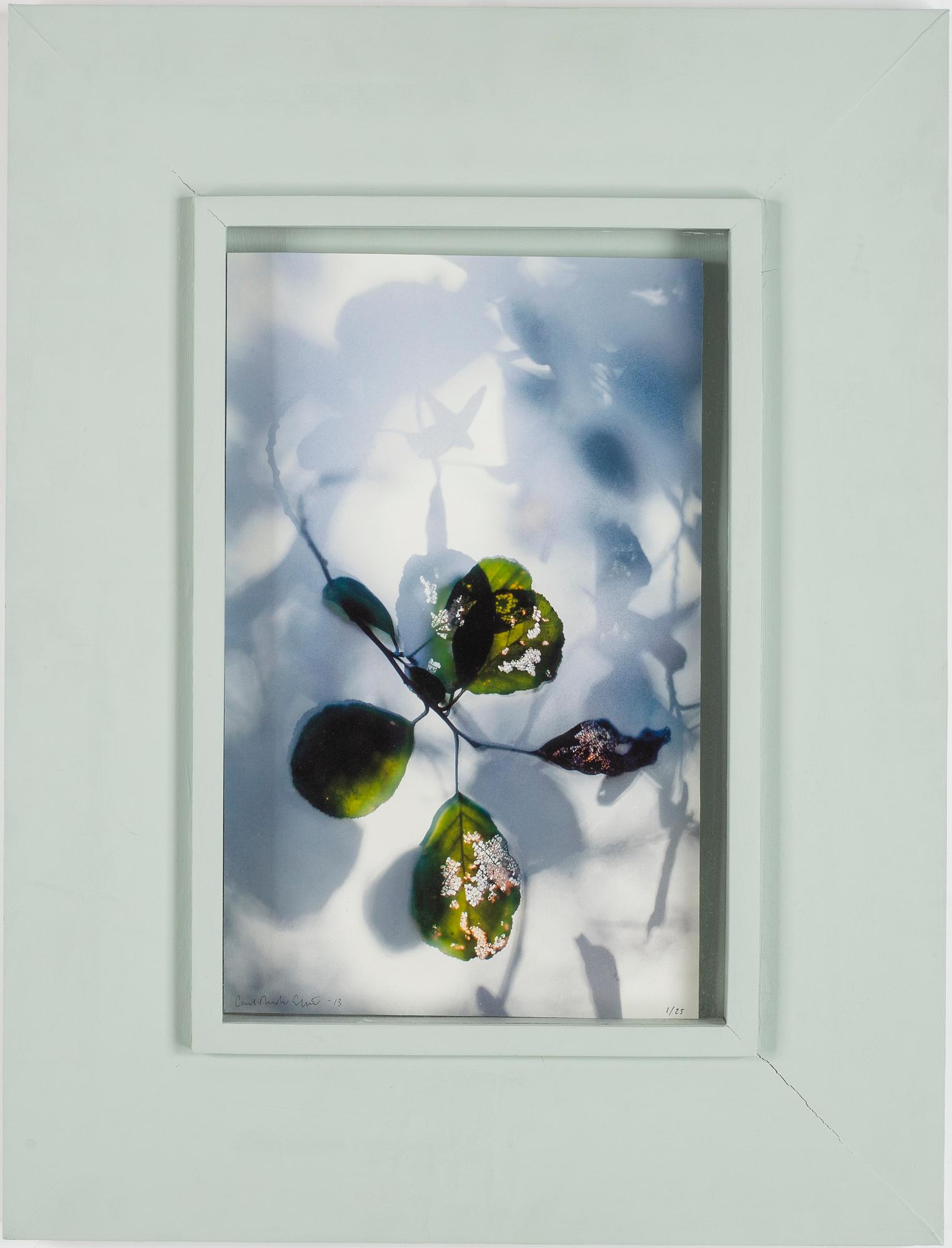 CARL-FREDRIK EKSTRÖM, pigment print, signed and dated 2013. Numbered 1/25.