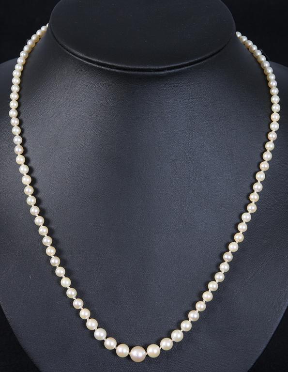 PÄRLHALSBAND, 2 st, 1900-tal.