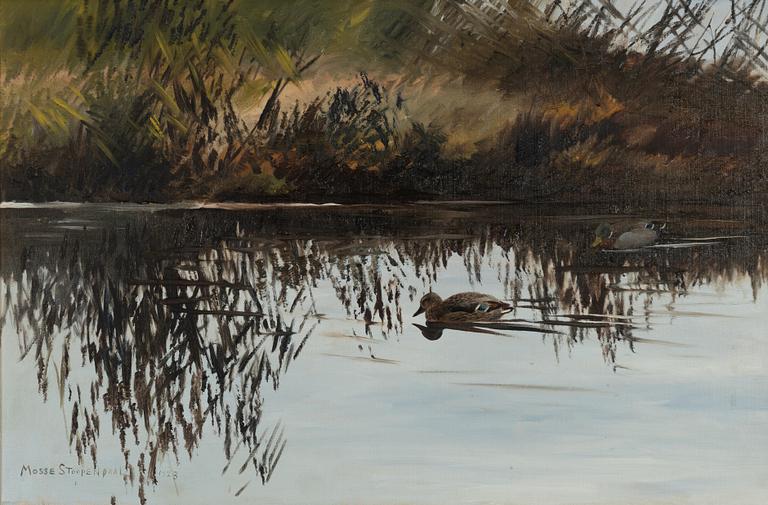 Mosse Stoopendaal, Swimming ducks.