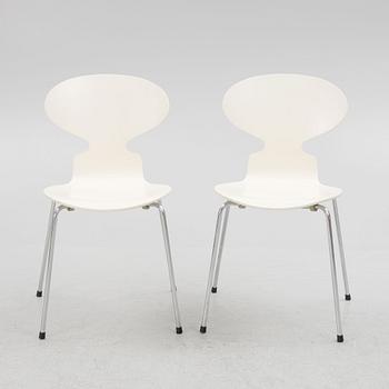 Arne Jacobsen, stolar, 5 st, "Myran", Fritz Hansen, Danmark.