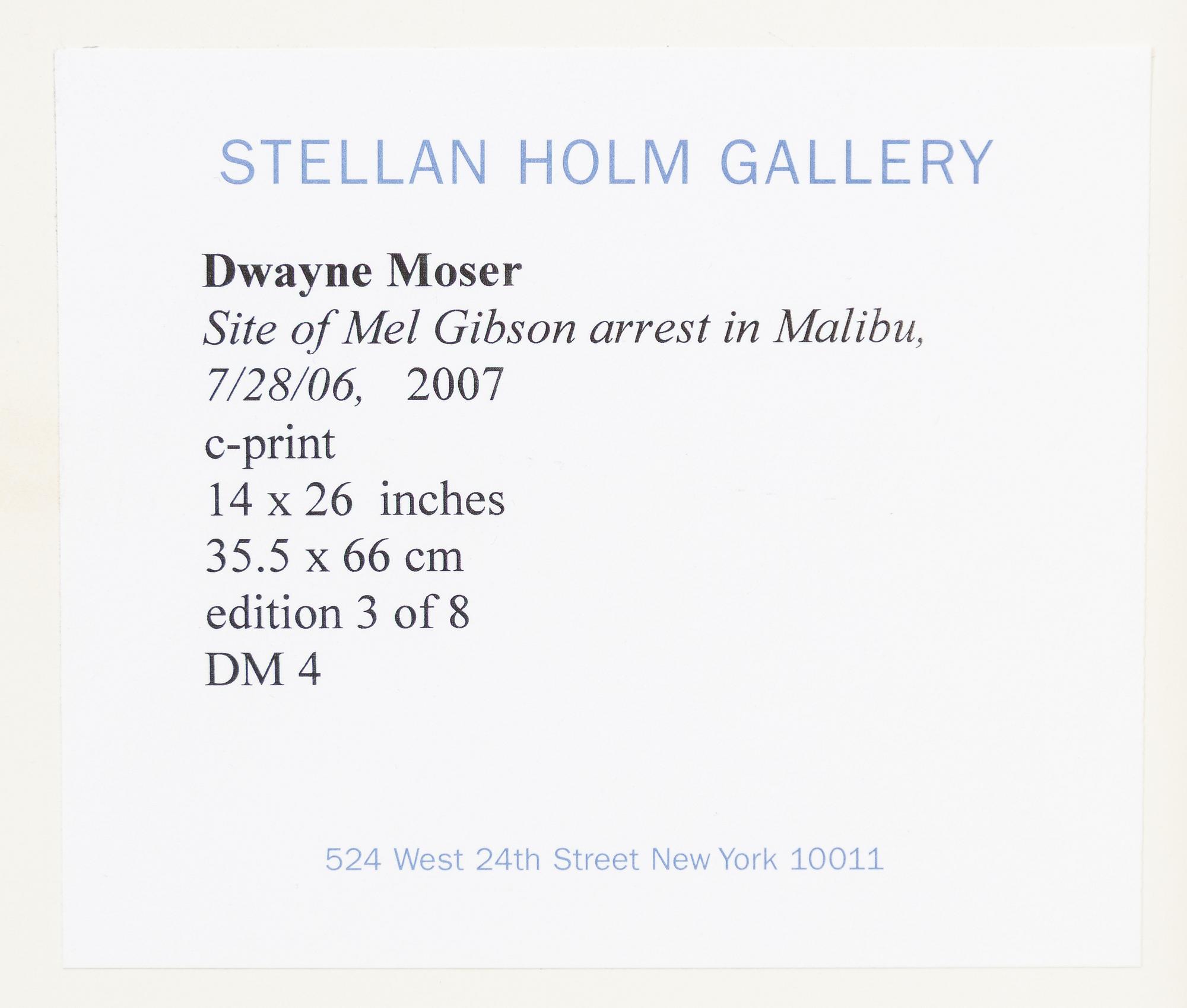 Dwayne Moser, "Untitled Backdrop (Site of Mel Gibson’s DUI arrest, 7/28/06)", 2007.