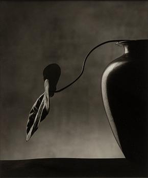 Christian Coigny, "Vase Noir", 1988.