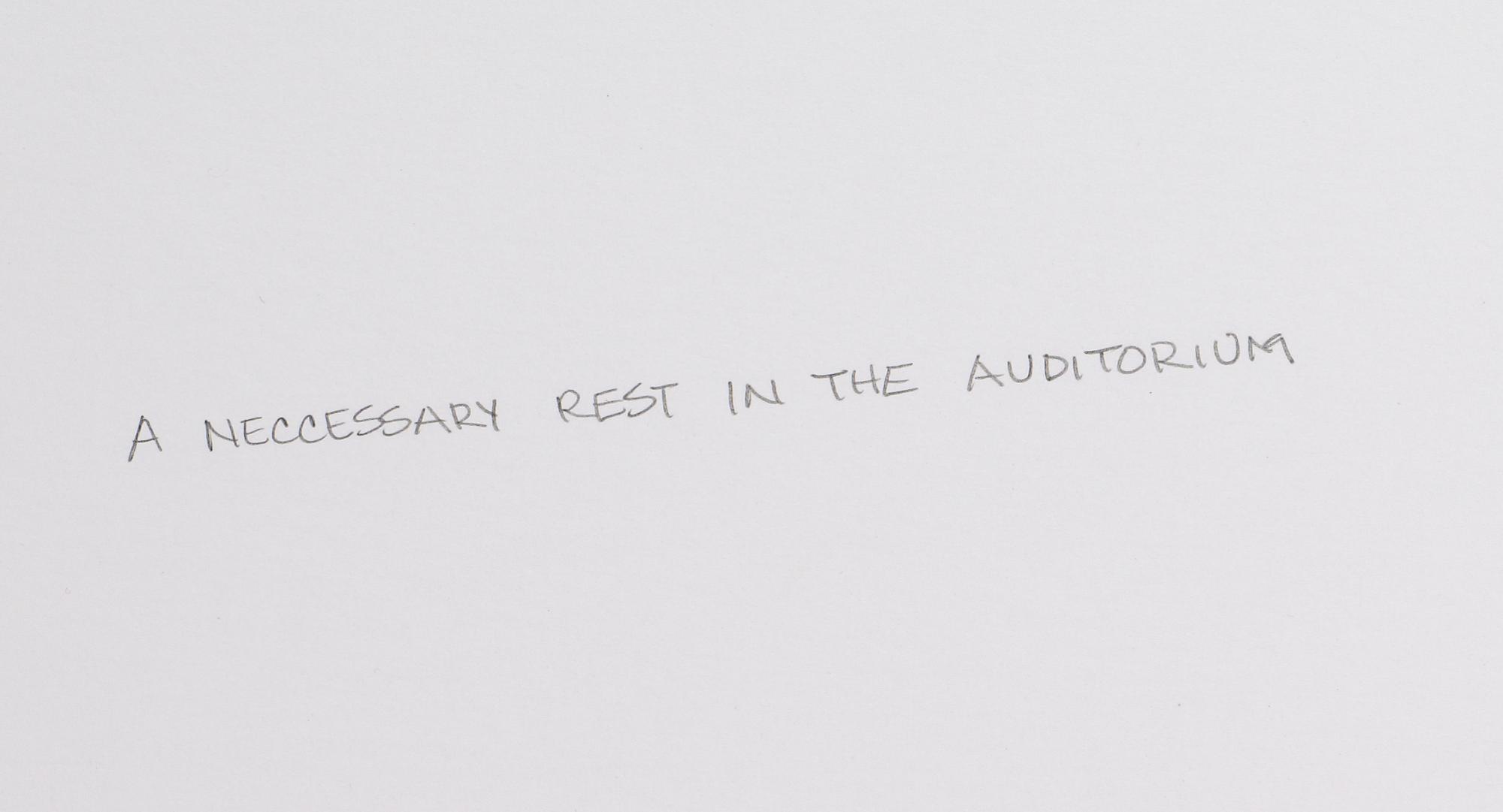 Jockum Nordström, "A Necessary Rest in the Auditorium".